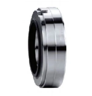 Burgmann H10 Mechanical Seal